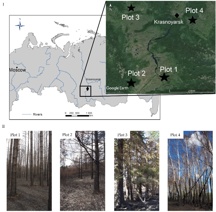 Fire MDPI tweet media