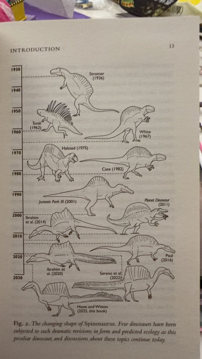 秋山雲【wf2026s】 tweet media