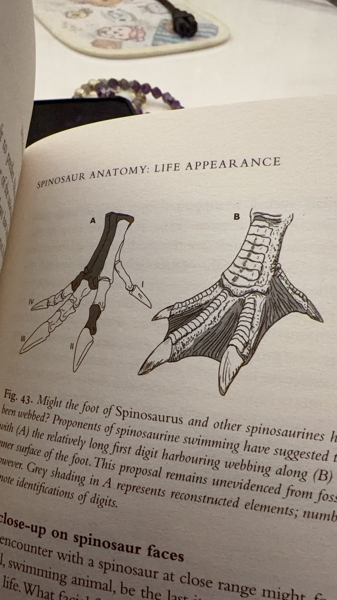 秋山雲【wf2026s】 tweet media