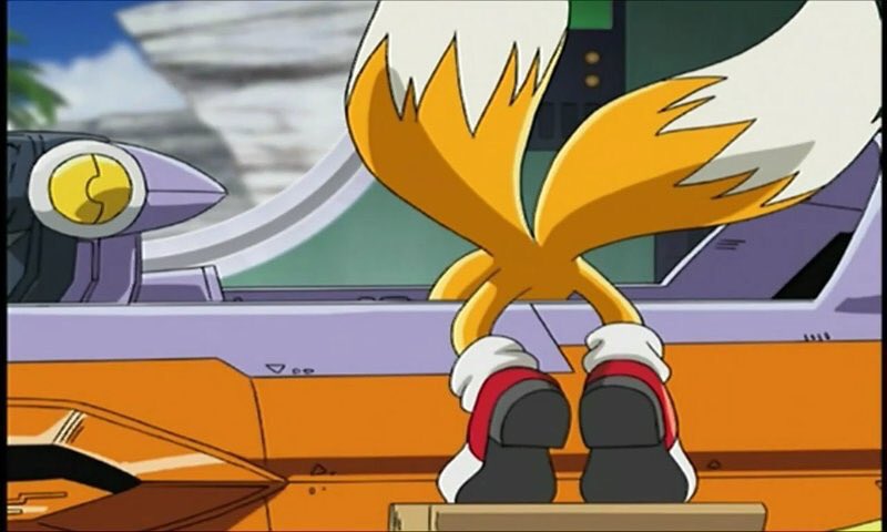 Daily Tails Pics tweet media