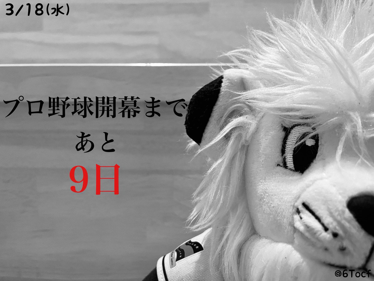 ただの野球好き tweet media