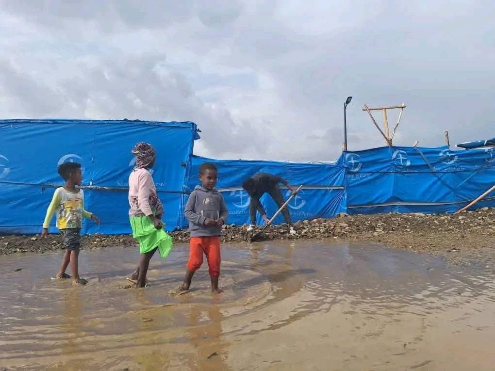 Mengsteab Abraha Berihe tweet media