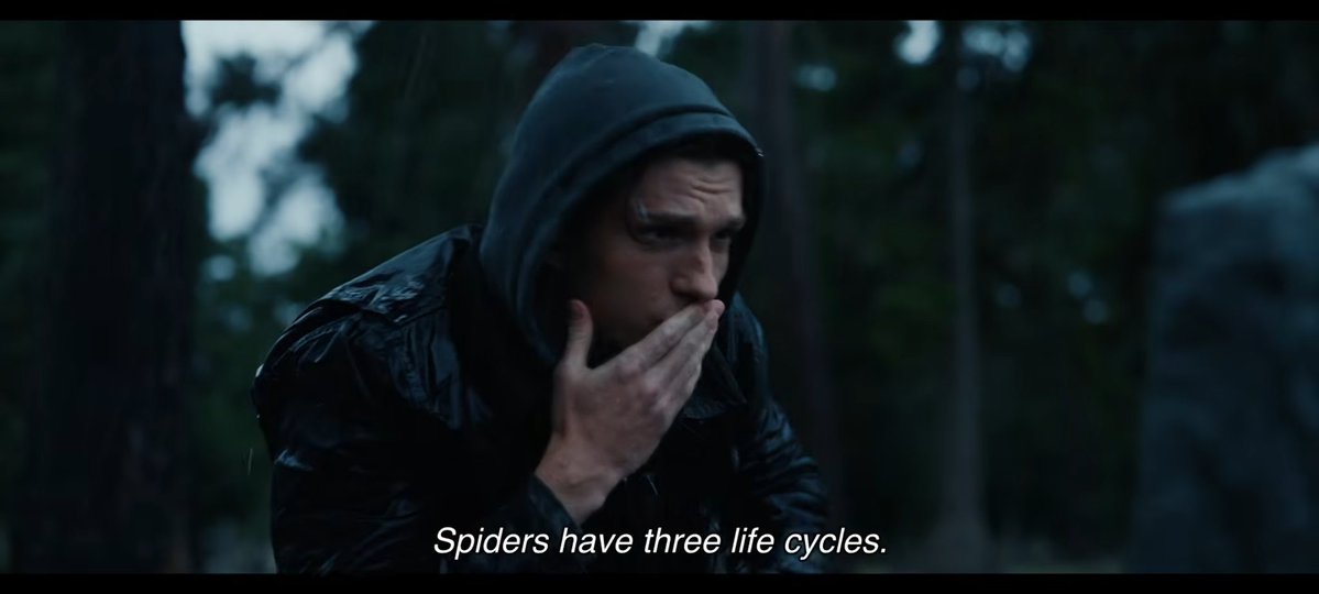 eclectic tweet media