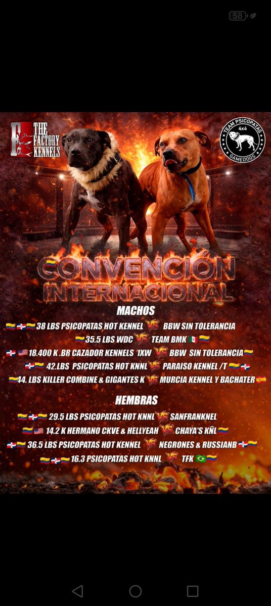 ÚltimaHoraCaracol tweet media