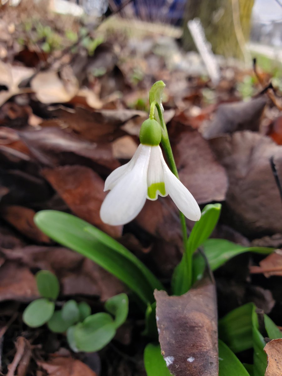 JScottStan tweet media