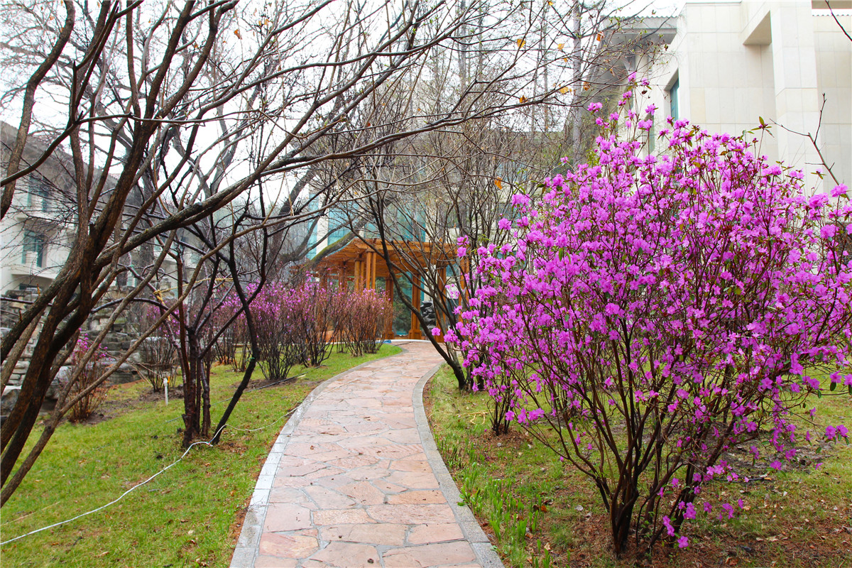 YS Entertainment tweet media