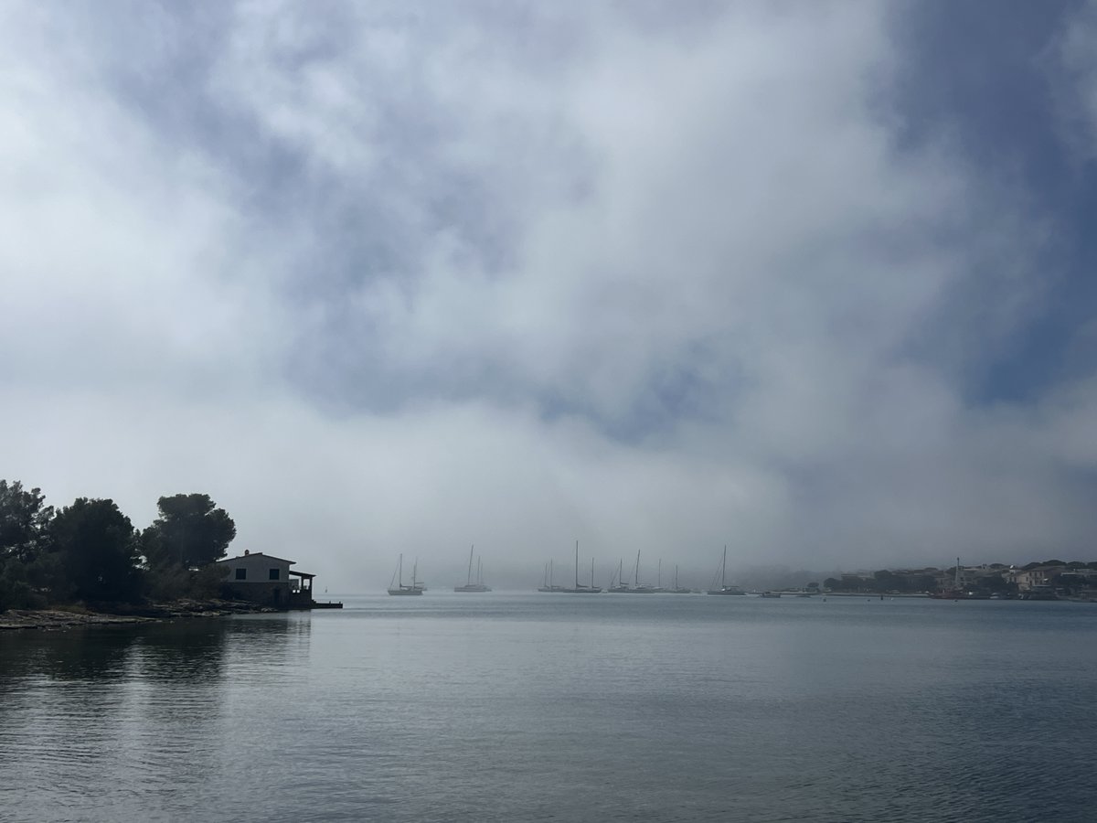 El temps IB3 tweet media