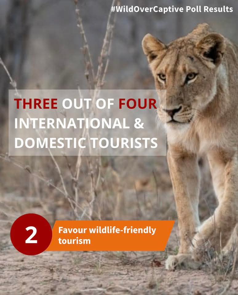 SueSpurgin's tweet photo. #SouthAfrica A new economic poll highlights tourists favour wildlife-friendly tourism. Please share this post to show @GovernmentZA @willieaucamp1 @environmentza that tourists prefer #WildOverCaptive
#CancelCaprivity
Read more π https://t.co/GD7CO4kMF9 https://t.co/ilmwTWZJ5G