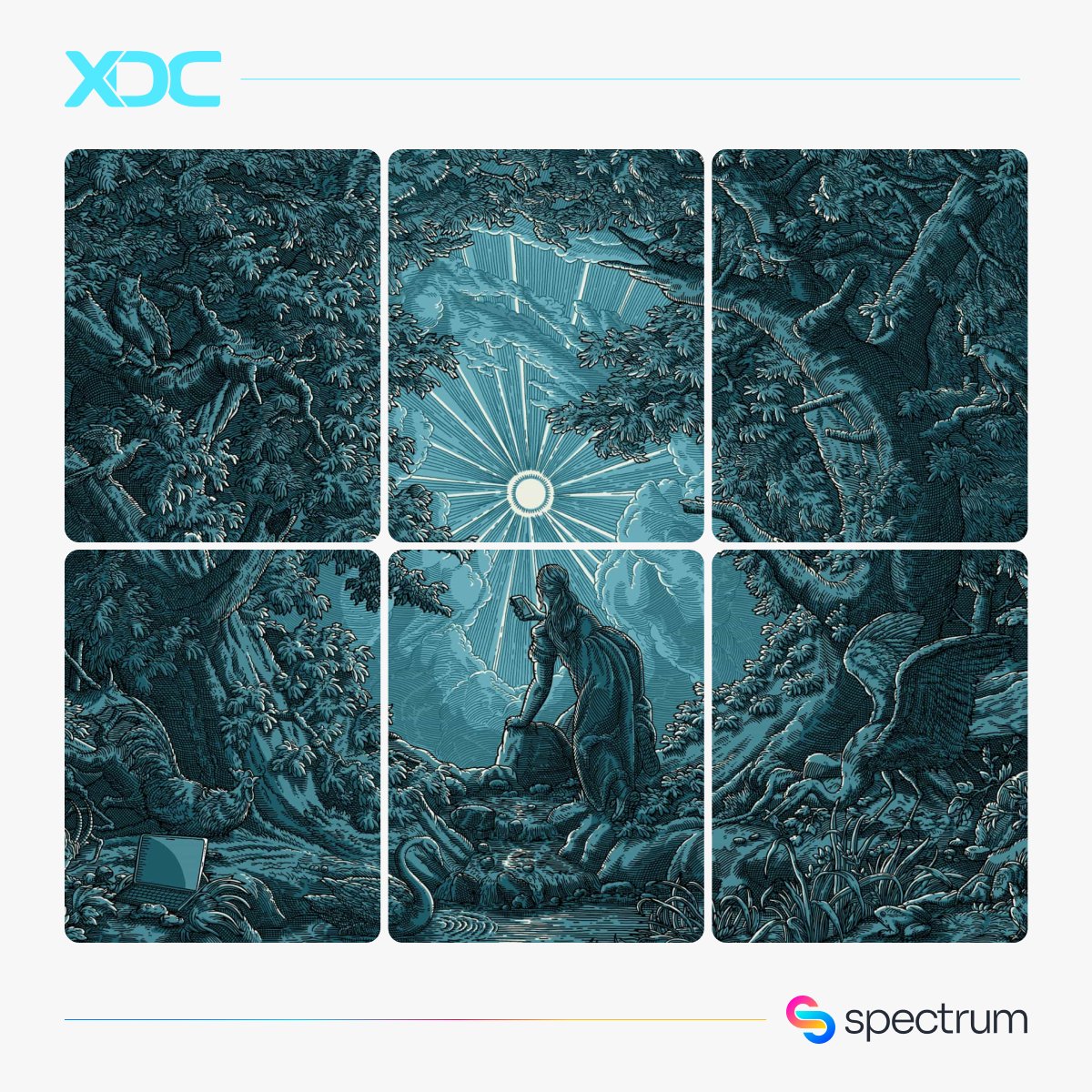 Spectrum Nodes 🎨 tweet media