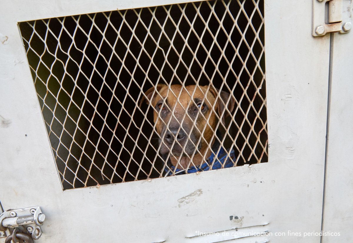 Red+ Noticias tweet media