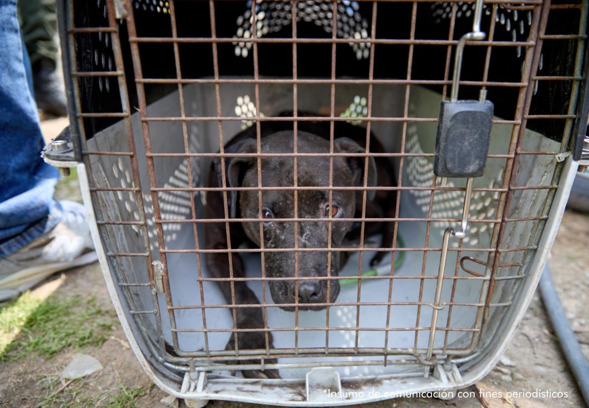 Red+ Noticias tweet media