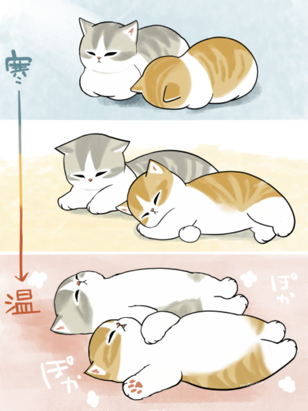 #春の睡眠の日
にゃんこの寝相