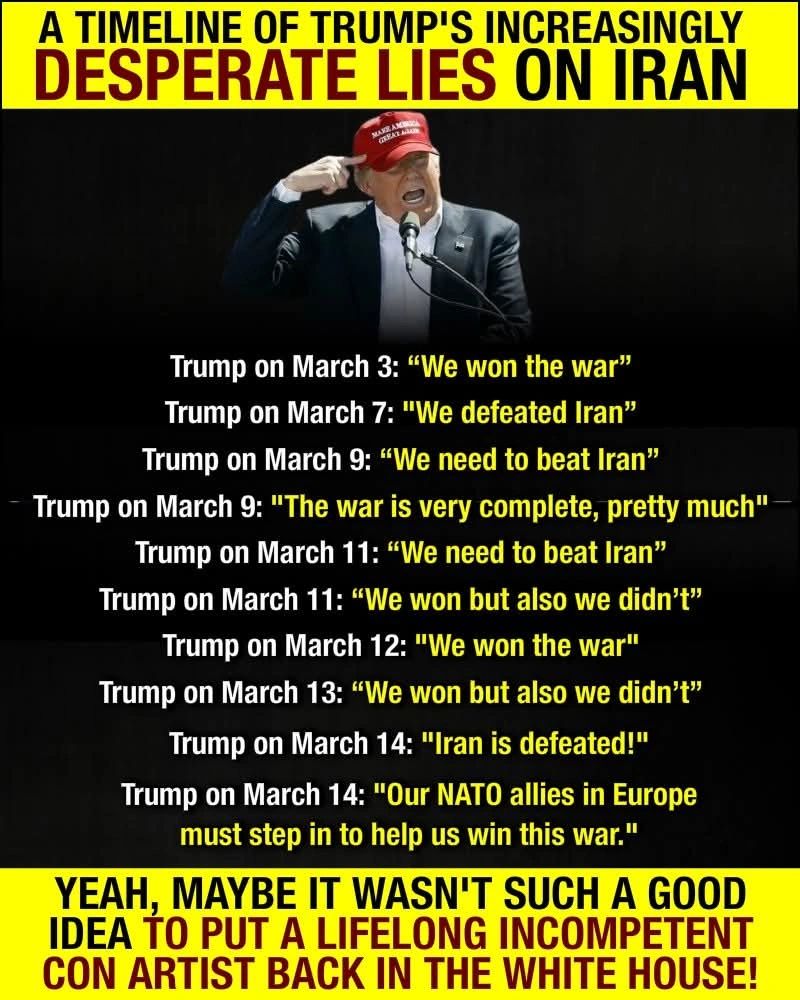 Democratic Coalition tweet media