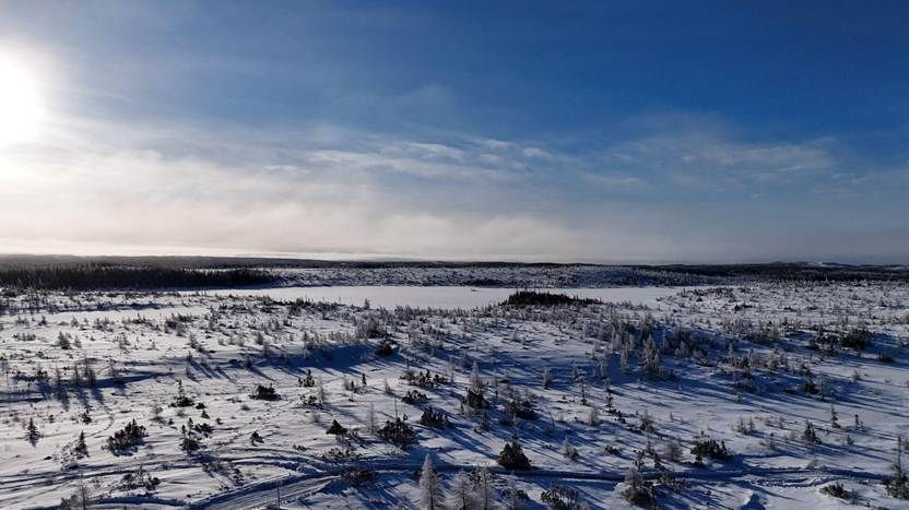 First Atlantic Nickel tweet media