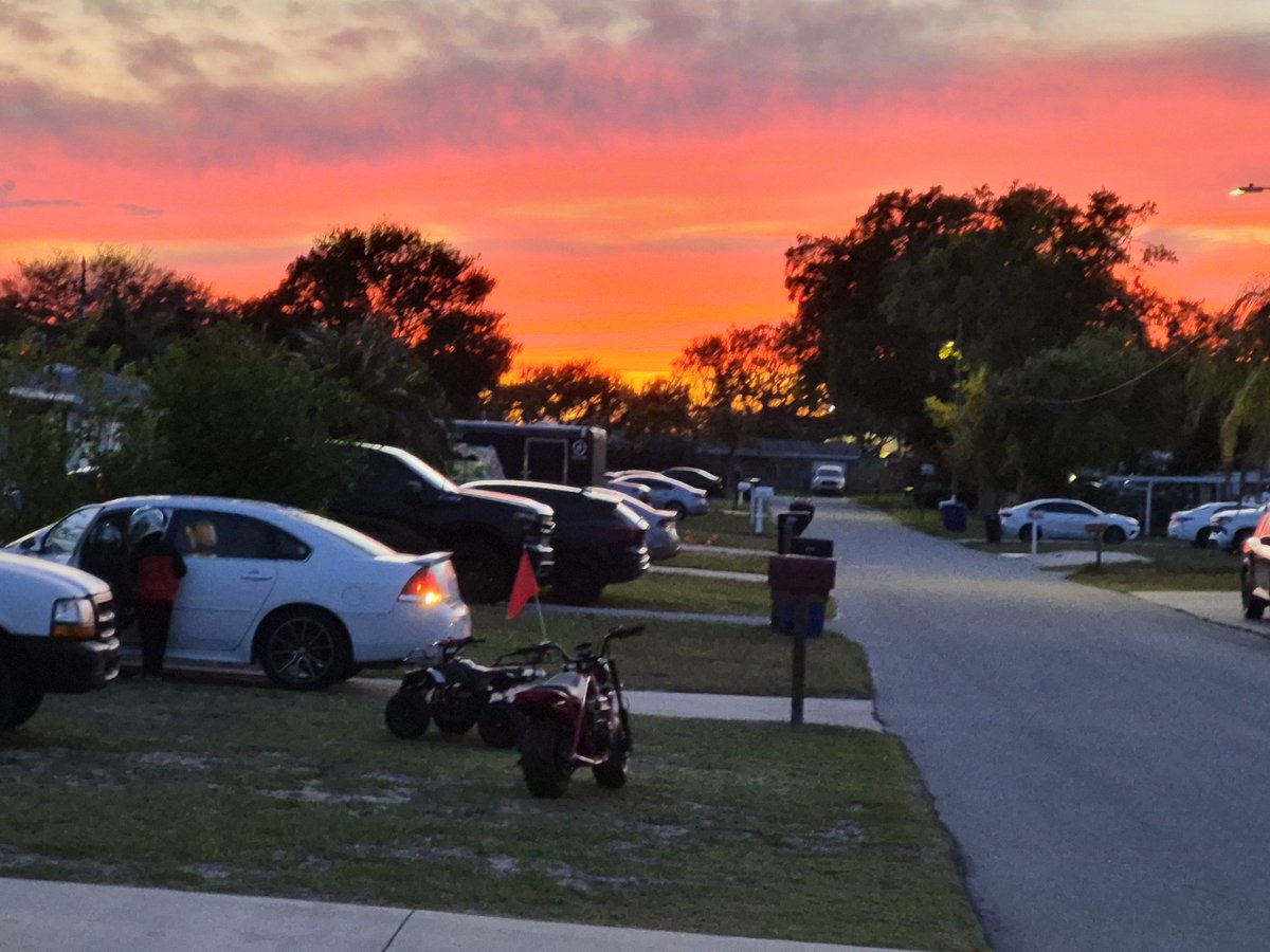 Rory Geer ↾⇃ ⁿₑrVªpₑ 🦍🦴 tweet media