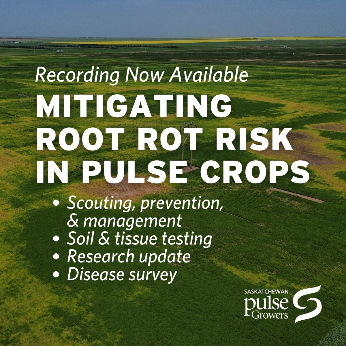 Saskatchewan Pulse Growers tweet media