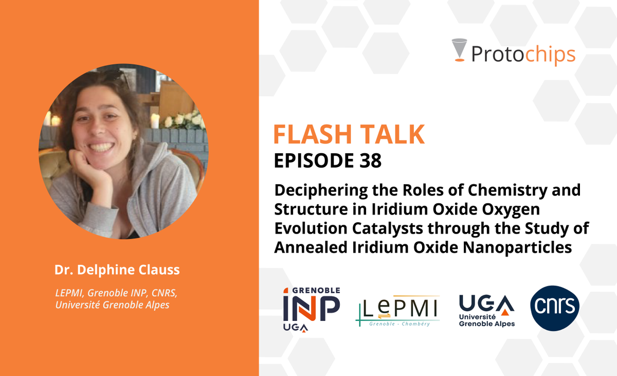 Protochips tweet media