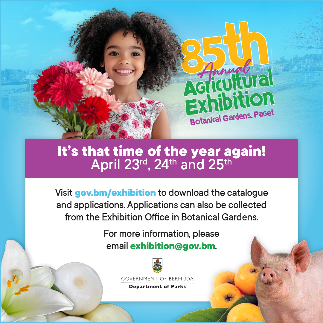 Bermuda Government tweet media