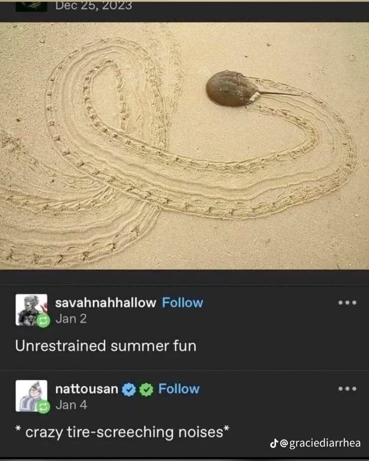 Internet Slop tweet media