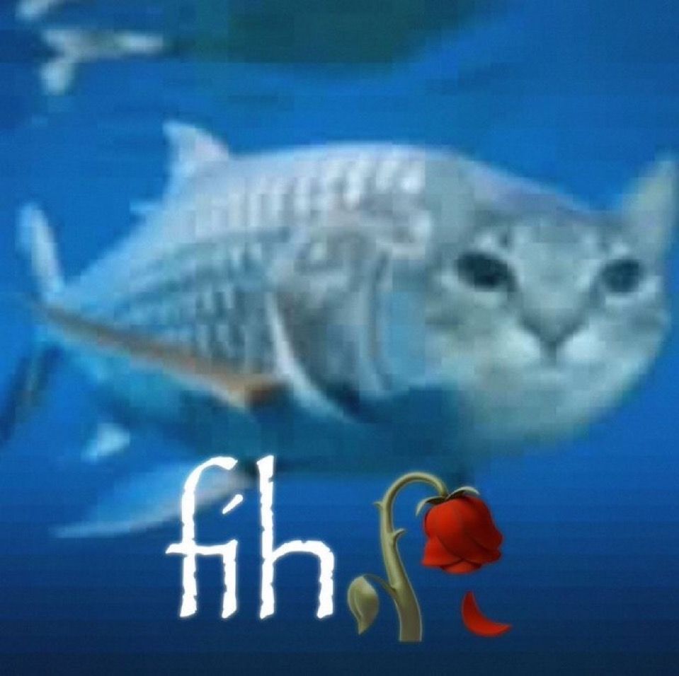 dinosaur tweet media