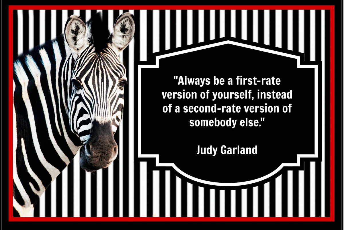 Ann Potts tweet media