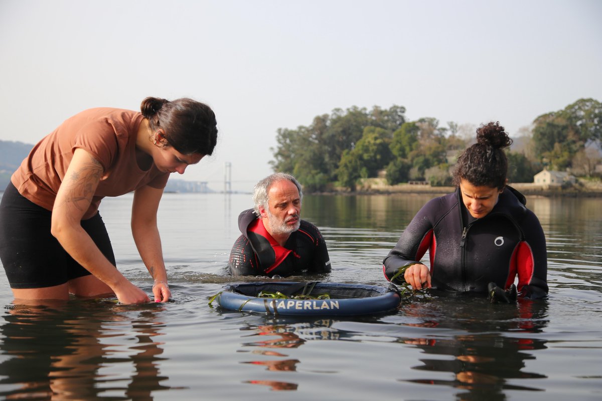 CIM UVigo tweet media