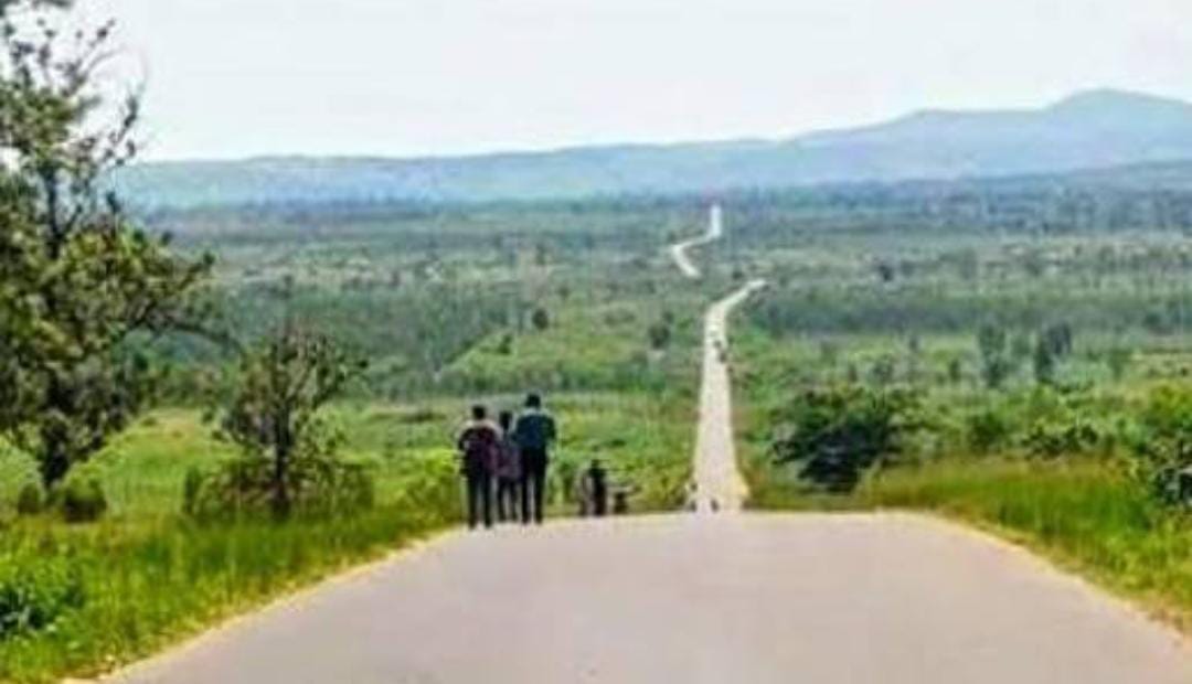 Reporter.cd tweet media