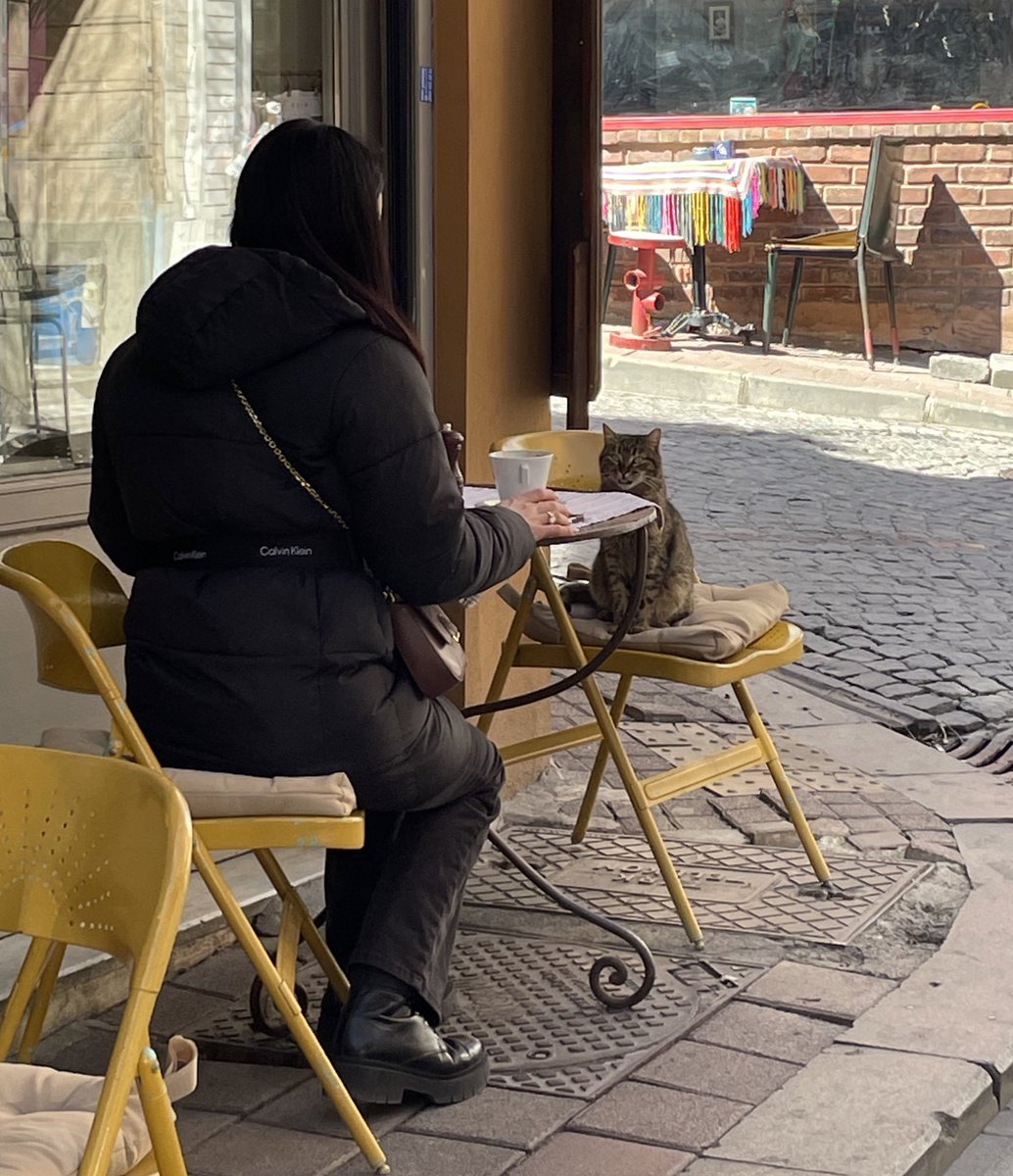 ぽすこ tweet media