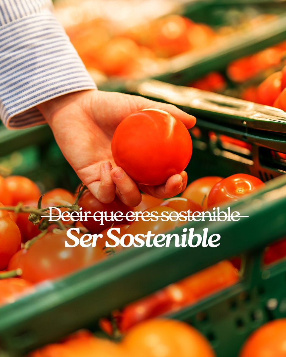 Lupa Supermercados tweet media