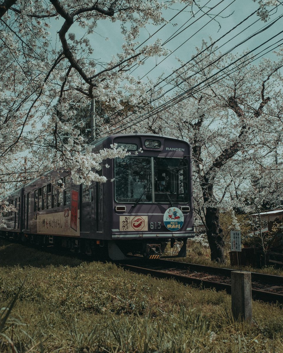 Riki Shinagawa tweet media