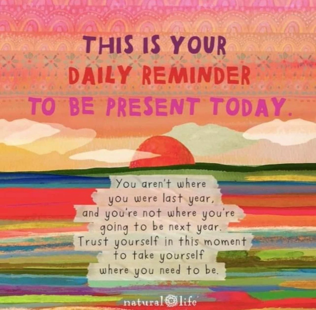 CHS HORNED TOADS tweet media