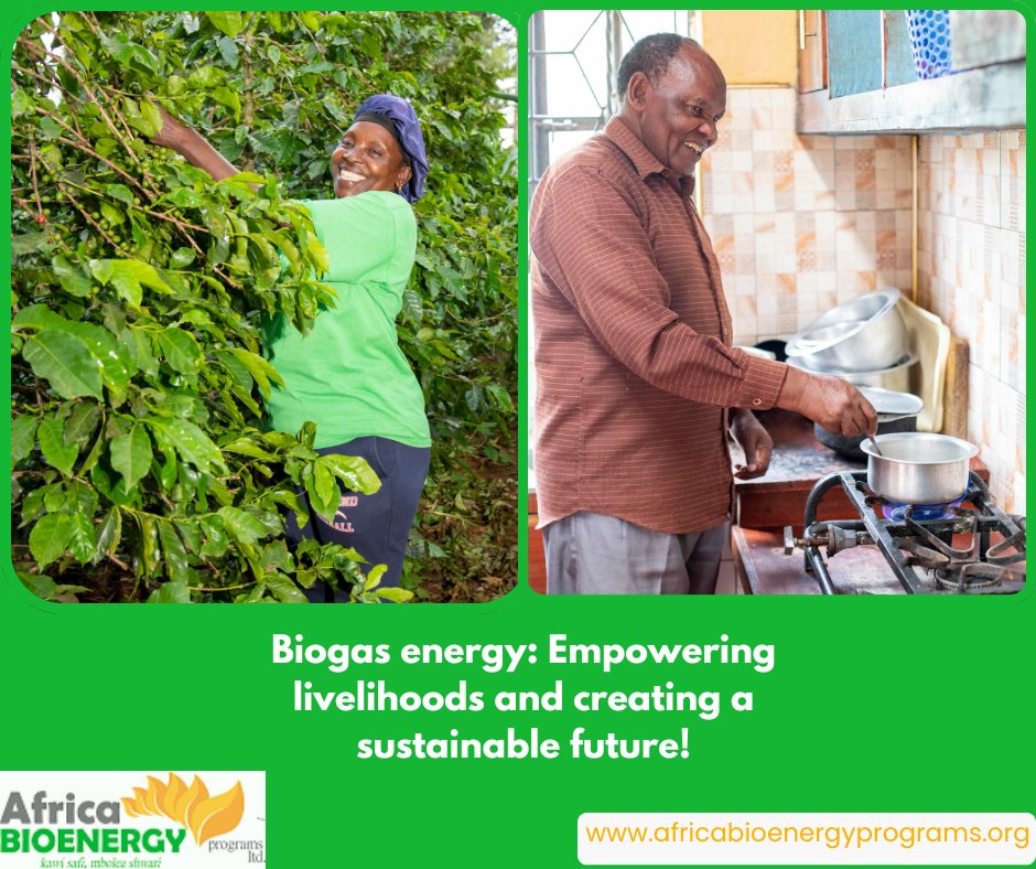 Africa Bio-Energy Program tweet media