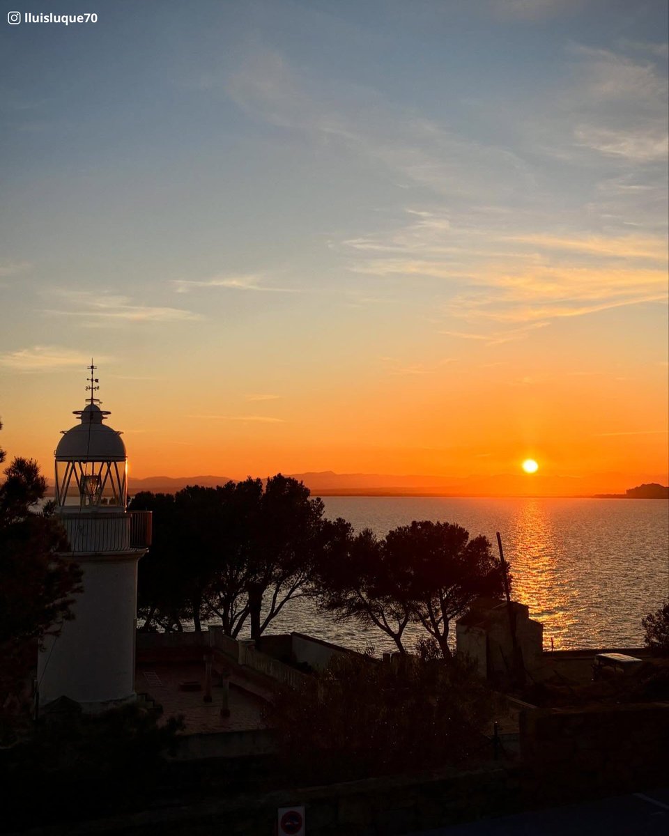 Visit Roses tweet media