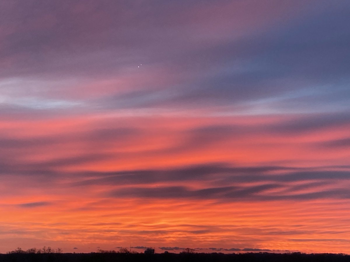 Chris H. Lynn tweet media