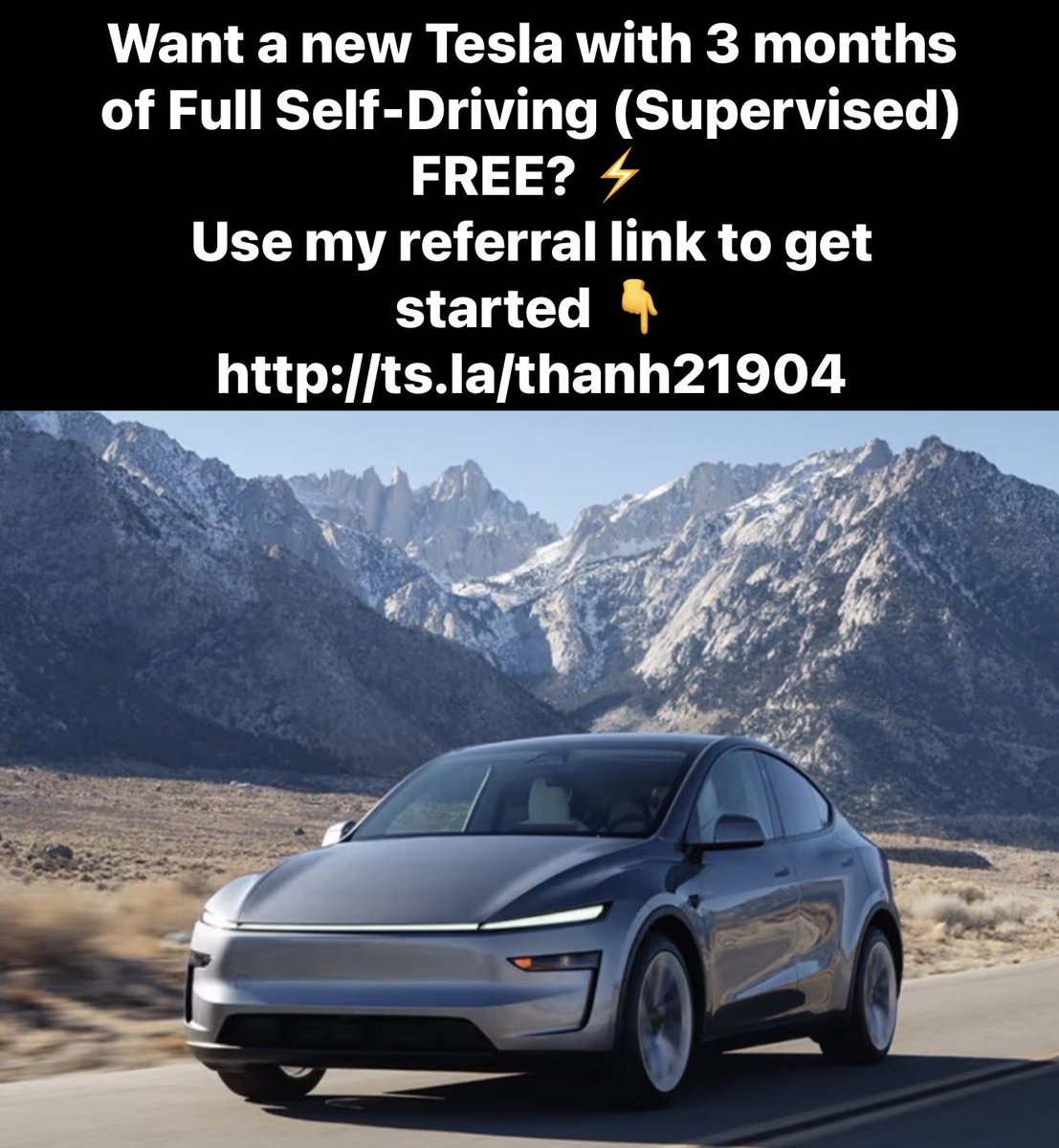 Thanh Duong tweet media