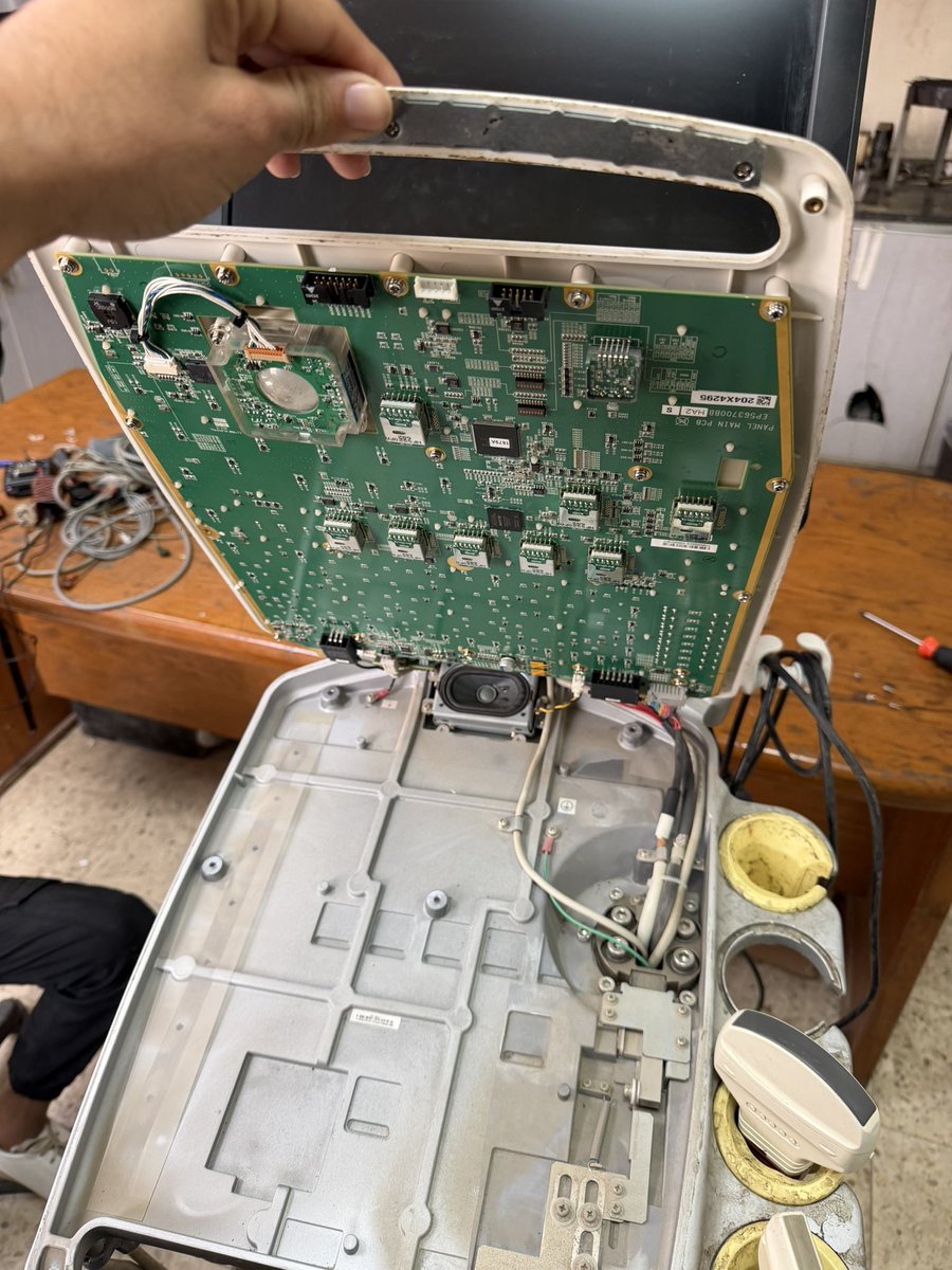 ODAY || 🇵🇸 tweet media