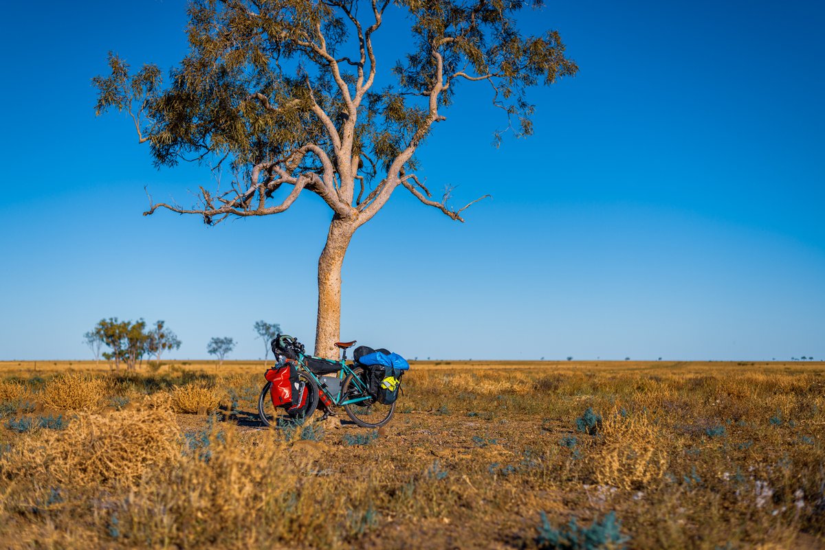 petar b 🇦🇺 tweet media