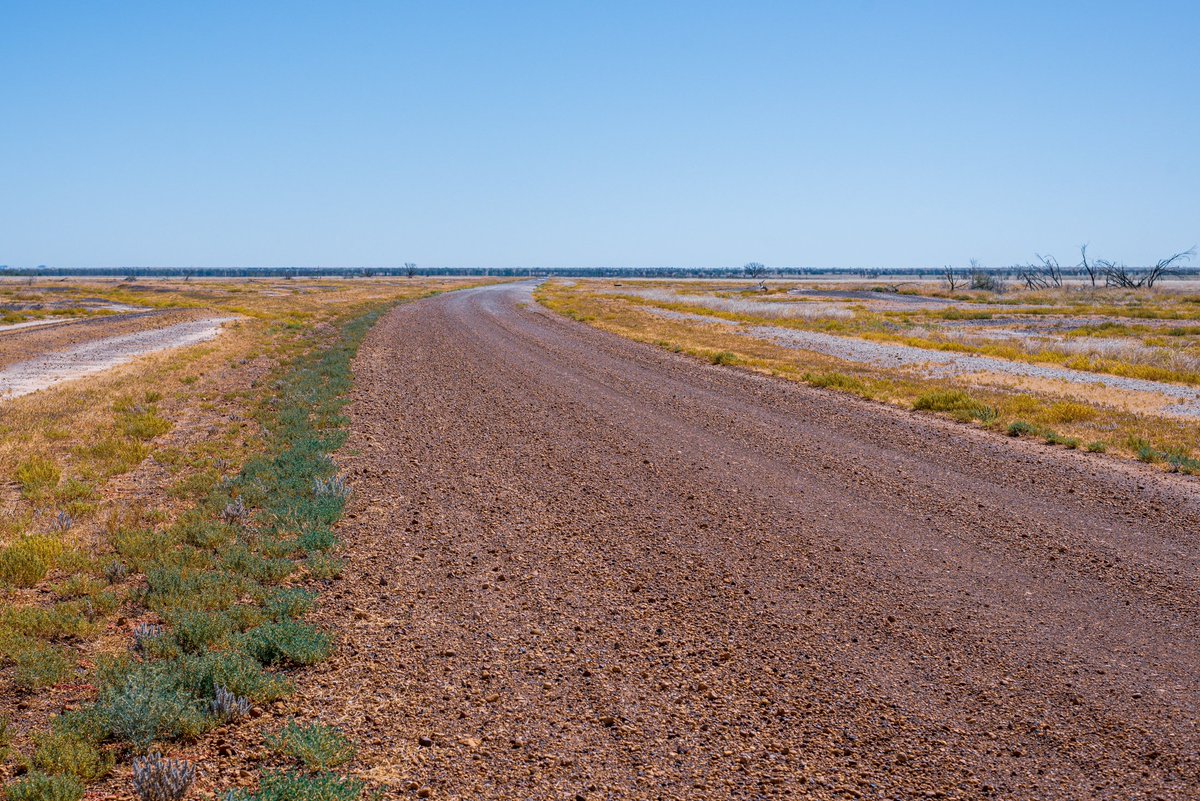 petar b 🇦🇺 tweet media