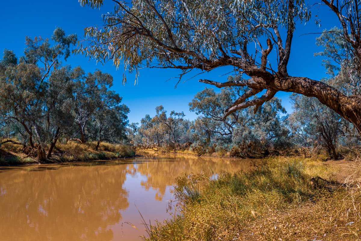 petar b 🇦🇺 tweet media