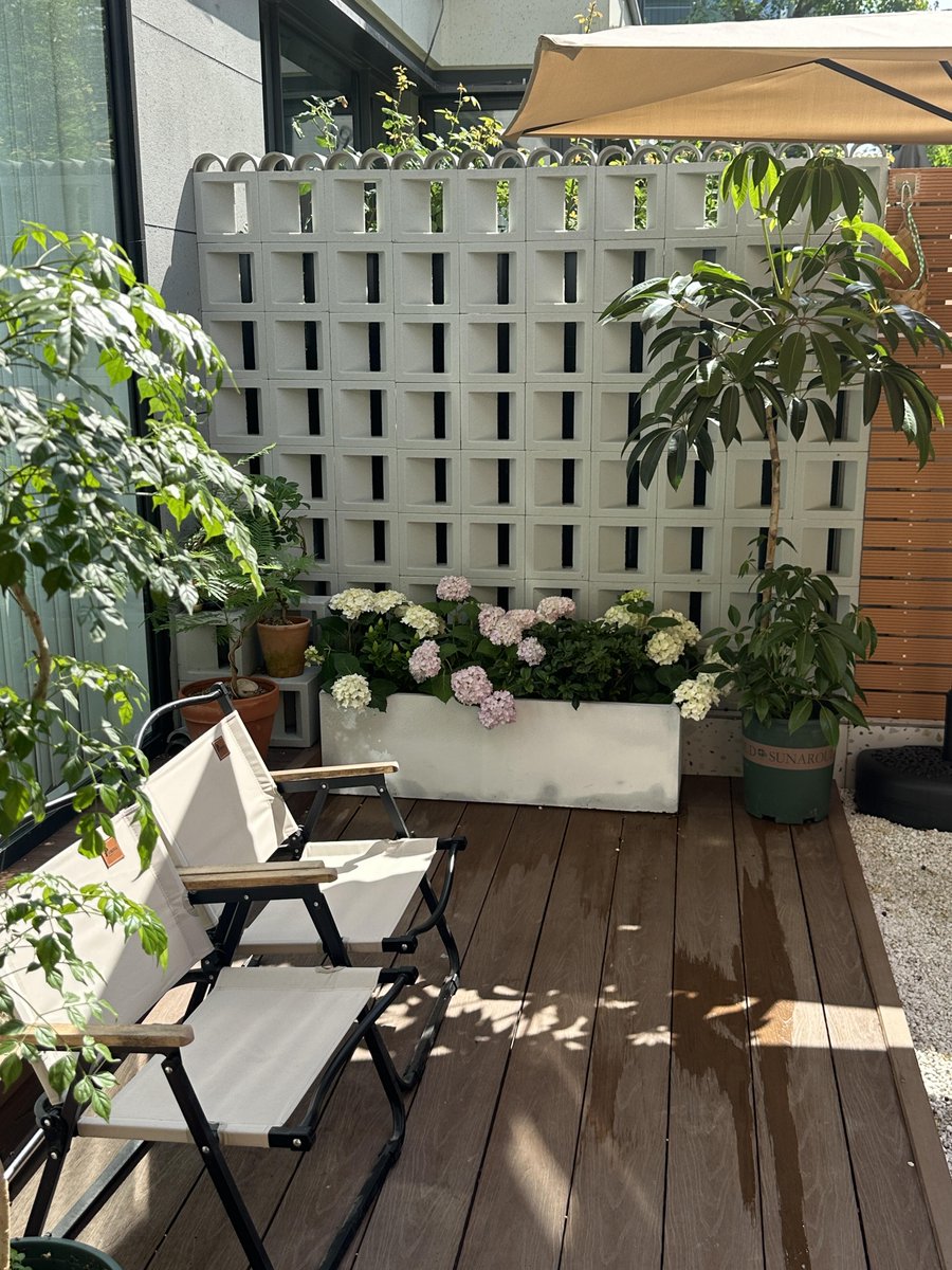 mauro fronio tweet media