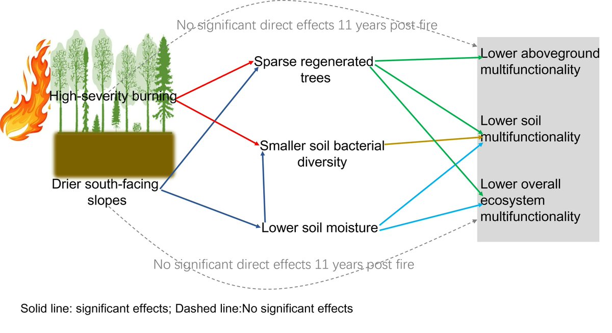 Fire MDPI tweet media
