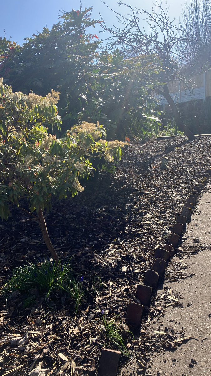 mrs barbara nice tweet media