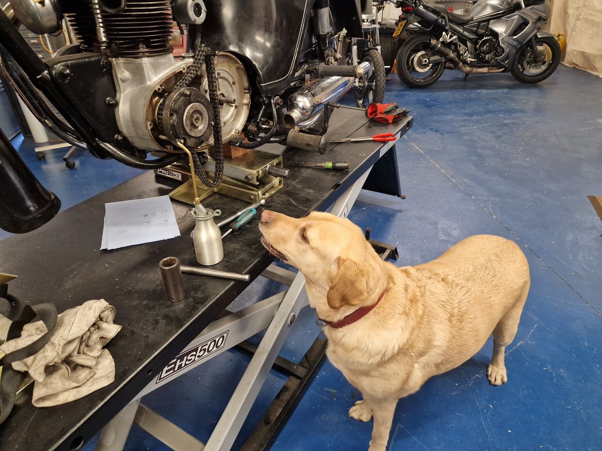 Rea Repairs tweet media