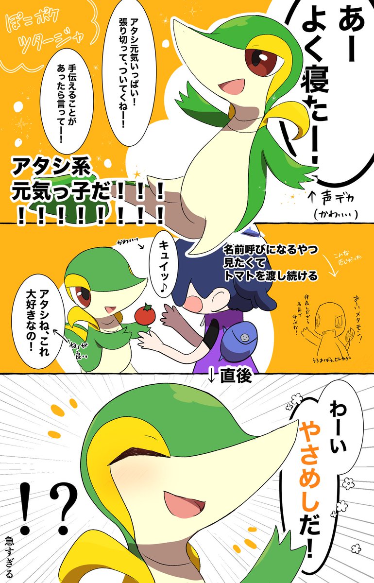 やさめし🌟ZA済 tweet media