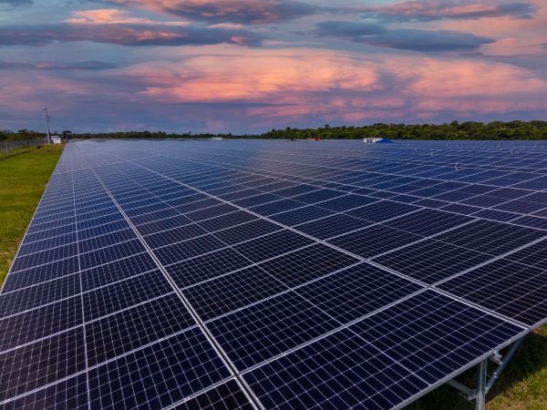 Futuro Sustentable tweet media