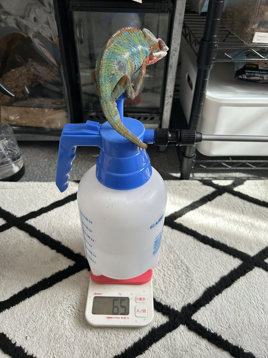 subenodo tweet media