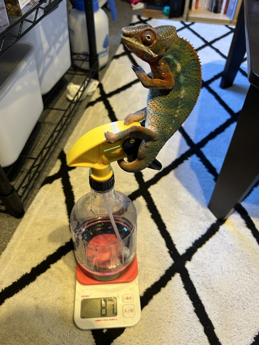 subenodo tweet media