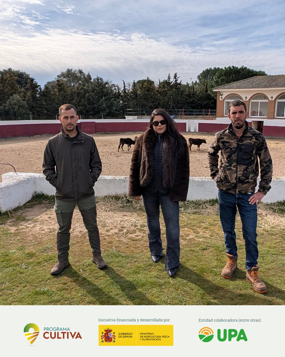 RAÍCES por UPA Joven tweet media