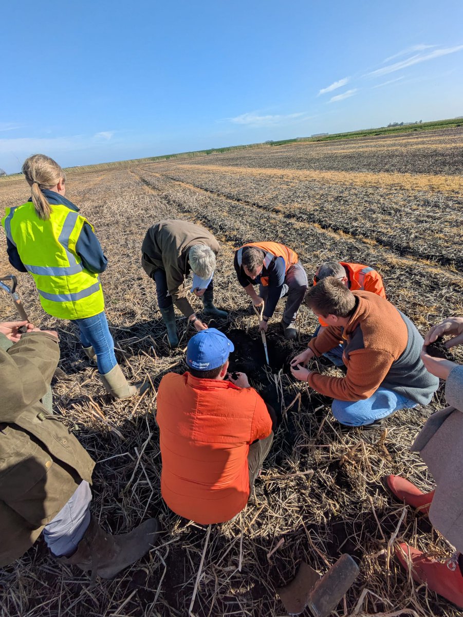 British Society of Soil Science tweet media