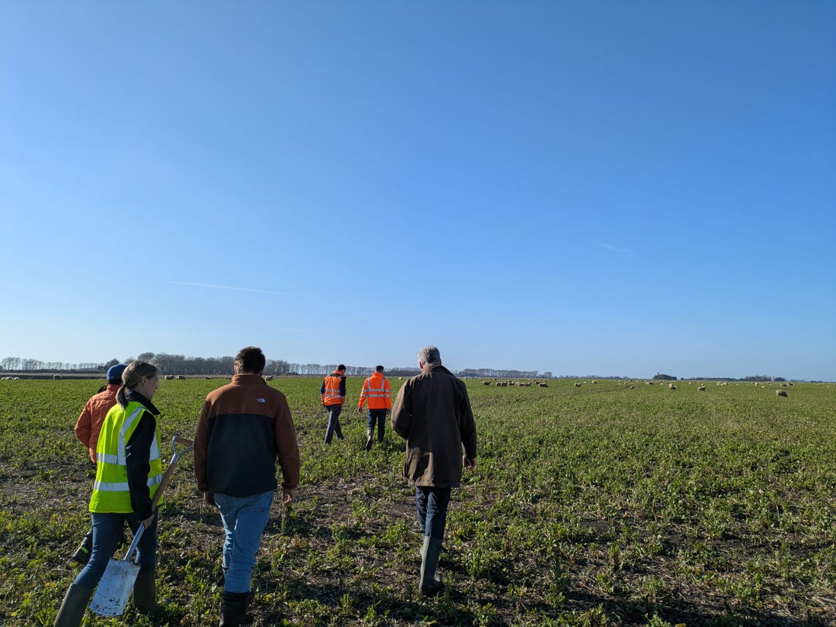 British Society of Soil Science tweet media